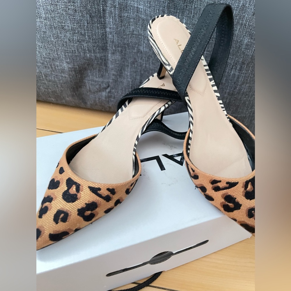 Aldo shoes